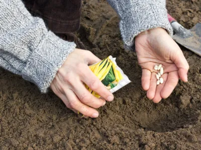 Singura țară din lume care își poate acoperi integral hrana din resurse proprii. Cum stă România într-un astfel de clasament mondial