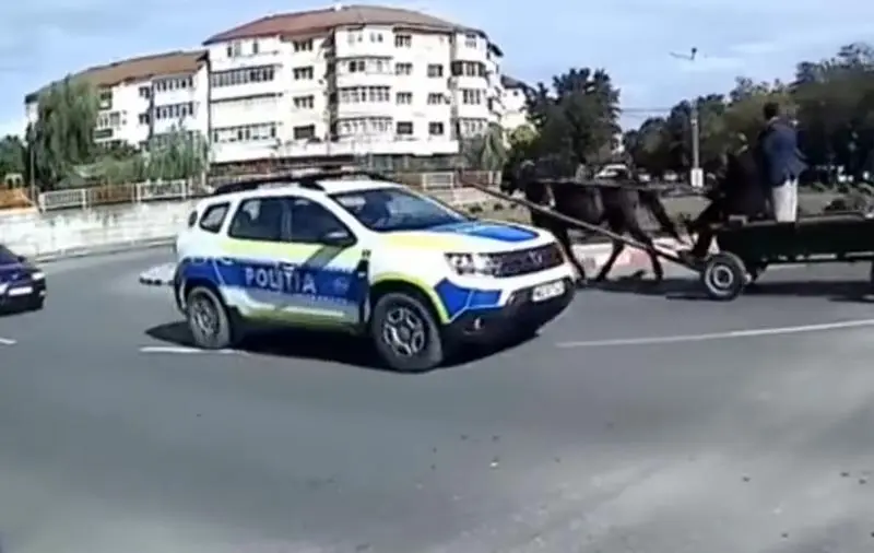 O căruță dă nas în nas cu mașina Poliției în giratoriu, pe cotrasens, în mijlocul orașului. / Foto: captură video