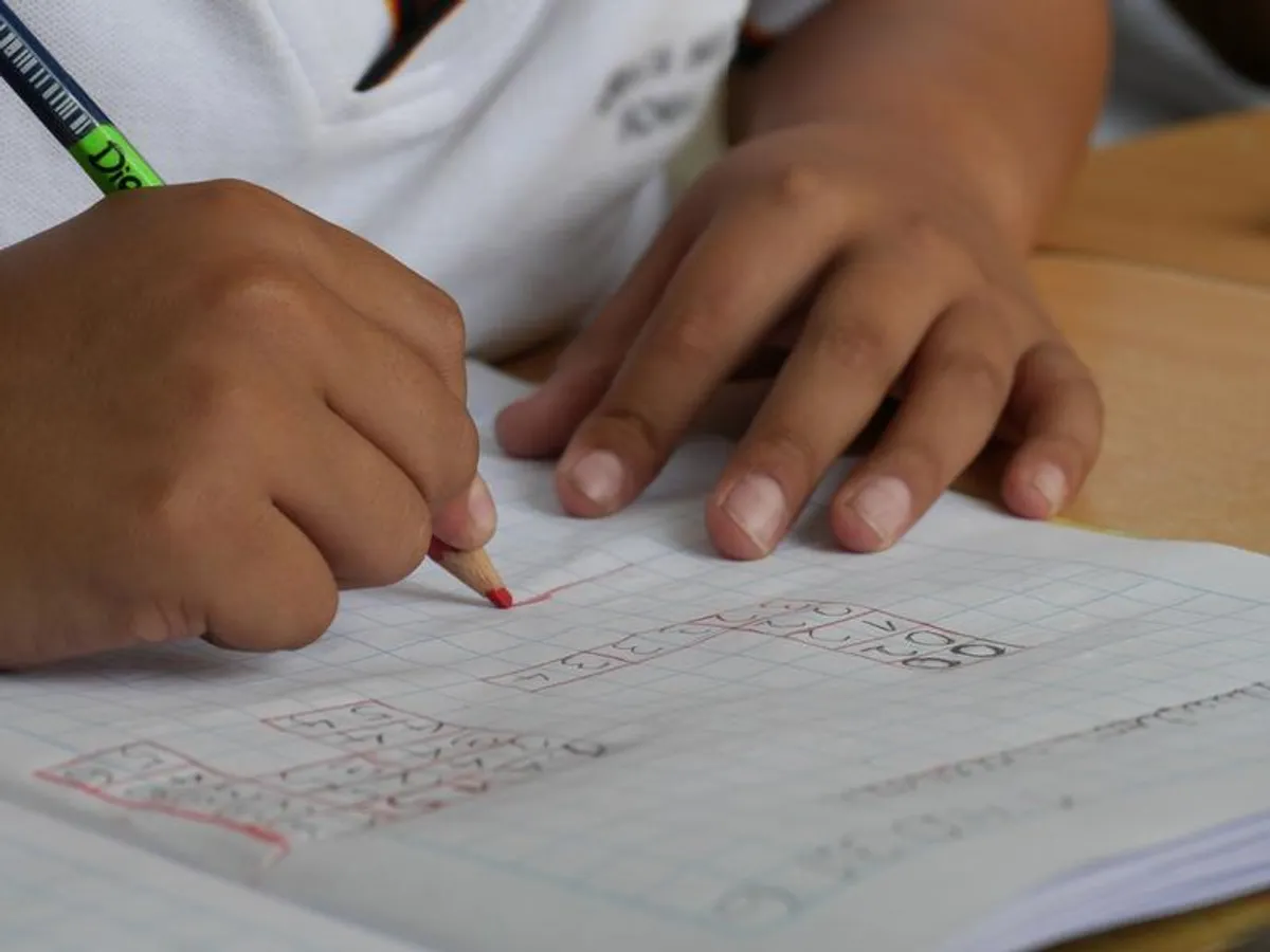 Ce subiecte au picat la proba de matematică de la Evaluarea națională