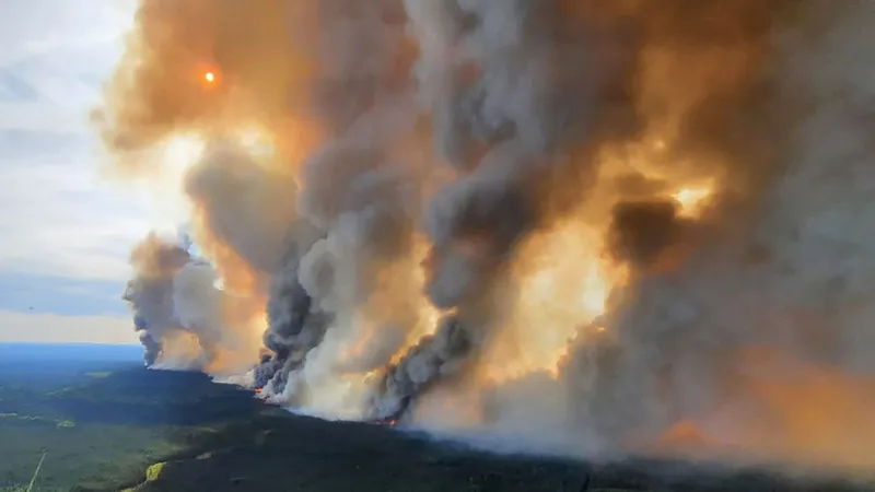 Norul toxic din Canada se apropie de România. Specialiștii vin cu avertizări pentru populație - Foto: Profimedia / imagine cu caracter ilustrativ