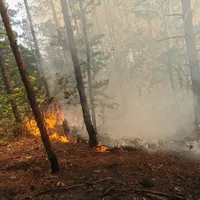 Avioane militare intervin pentru a stinge incendiul de pădure, din Mehedinți. Copacii ard de 8 zile - Foto: News.ro