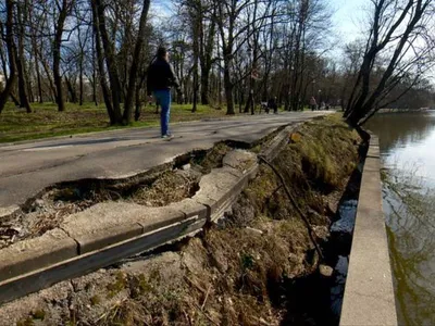 Maluri surpate, pe lacul Herăstrău - Foto: Facebook/Primăria Municipiului Bucureşti