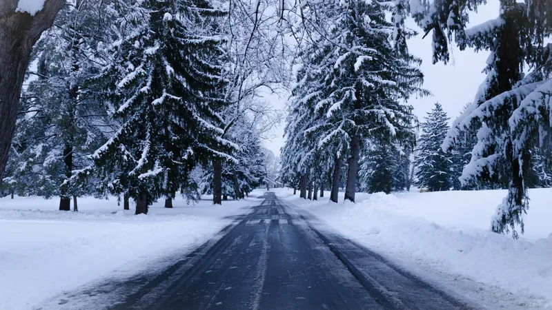 Ninsori temporar viscolite începând de duminică dimineaţă în jumătatea vestică a Moldovei/ Outdoorsy