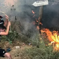 Incendiile devastatoare din Algeria, soldate cu 69 de morți, provocate: 22 de persoane, arestate. / Foto: bbc.com