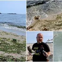 Marea a fost neagră astăzi din cauza poluării. Păcura de la vapoare a transformat apa complet Foto: colaj foto observator