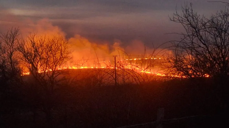 Incendii masive de vegetație în România. Arafat cere ajutorul preoților - Foto: IGSU