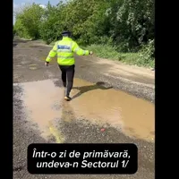 Domnul Rimă, atac devastator la Clotilde Armand: ”În Sectorul 1 cresc pești, nu trotuare!” -  Foto: Facebook/ Flick Domnul Rimă