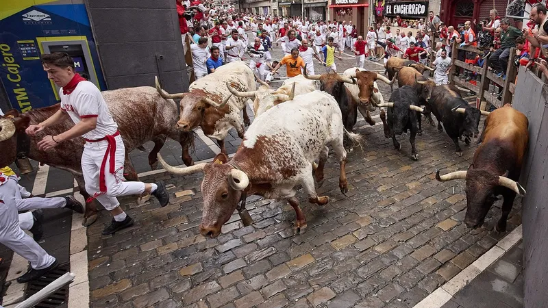 Cursa de tauri de la festivalul San Fermin: Cel puțin 6 persoane luate în coarne pe străzi - Foto: Profimedia Images