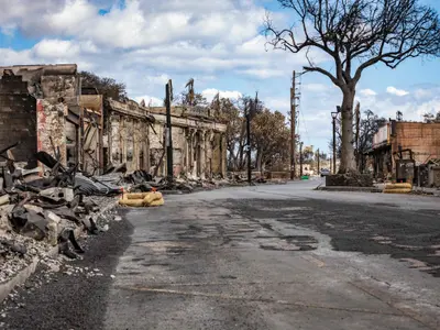 Maui, Hawaii, bilanţ îngrozitor al incendiilor - Foto: Profimedia Images