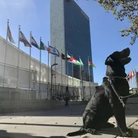 Sistemul informatic al ONU, spart de hackeri/FOTO: Facebook/United Nations