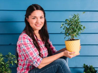 Când te poate obliga vecinul să tai un copac din curtea ta? Are voie să taie crengile care cad în curtea lui?