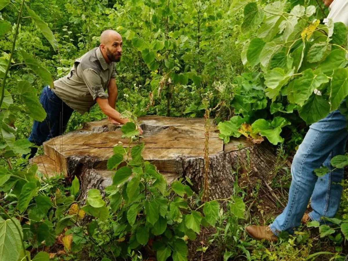 Un europarlamentar atenționează: „România riscă o amendă de 100.000 de euro pe zi”. Care e motivul/FOTO: ziaruldeiasi.ro