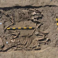 Descoperire arheologică la Sf. Gheorghe. S-au găsit scheletele unor animale din Epoca Bronzului - Foto: Profimedia images