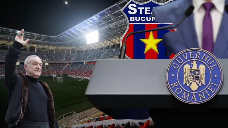 EXCLUSIV Lipsa unei Hotărâri de Guvern, motivul pentru care FCSB nu poate juca pe "Stadionul Steaua"