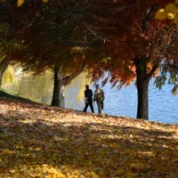 Trupul neînsuflețit al unui bărbat a fost găsit în lacul Herăstrău, în apropierea unei terase/FOTO: Inquam Photos / Oana Pavelescu