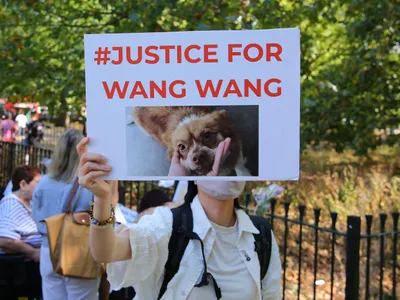 Participanții unui protest care a avut loc la Londra țin bannere și pancarte în sprijinul campaniei „Justiție pentru Wang Wang” și pentru sensibilizarea opiniei publice cu privire la protecția animalelor Foto: profimediaimages.ro