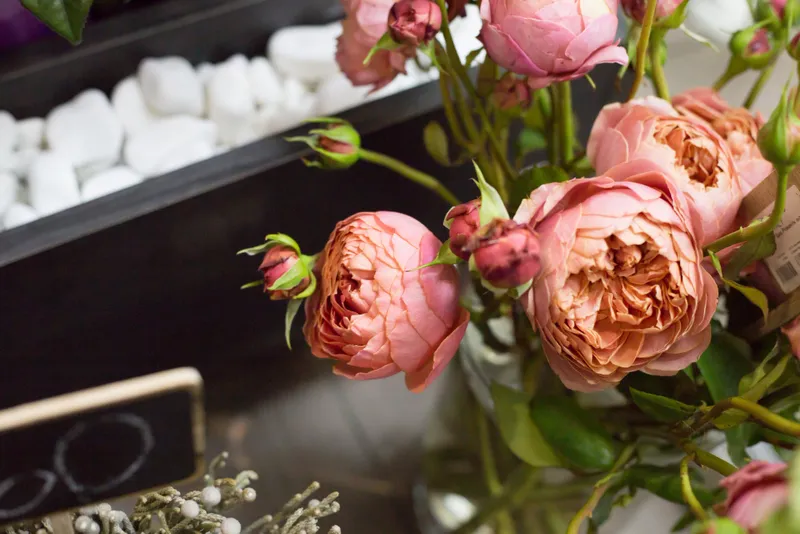 Bujori - Foto: Freepik (rol ilustrativ)