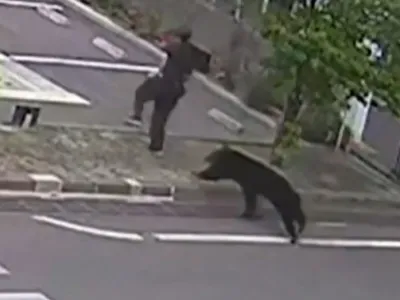 VIDEO. Un urs a rănit patru oameni: unul dintre atacuri a fost filmat de camerele de supraveghere ale unei fabrici