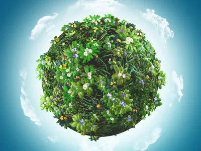 Pământ Foto: Freepik (imagine cu rol ilustrativ)