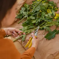 Floarea din grădină cu beneficii neștiute pentru sănătatea. Mănânci petalele și rămâi tânăr - Foto: Freepik (imagine cu rol ilustrativ)