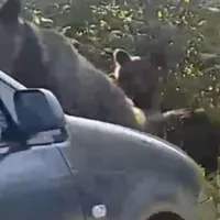 Foto: Captură Video