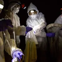 Oamenii de știință din Wuhan recunosc că au fost mușcați de lilieci infectați cu COVID/FOTO: Getty