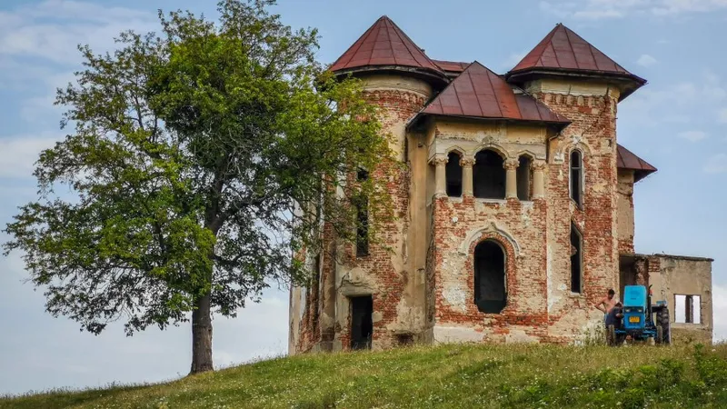 Conacul Dumitru Roșianu - Foto: țaracubalauri.ro