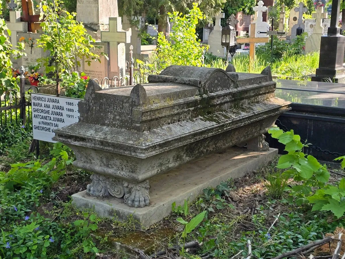Mormant Ion Perticari