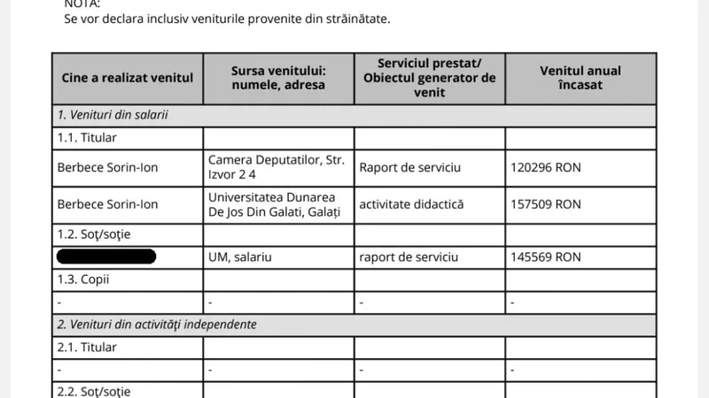 Declaratie de avere Sorin Berbece