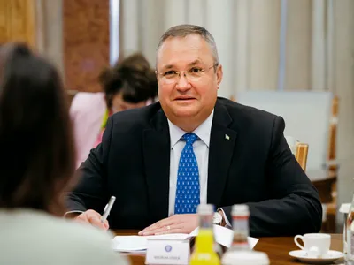 Nicolae Ciucă - Foto: Profimedia