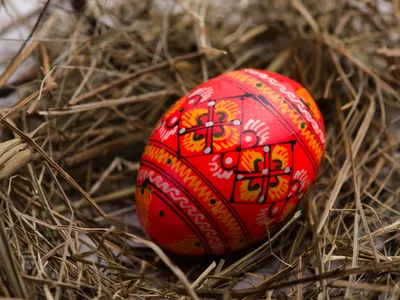 Ou de Paște Foto: Freepik (imagine cu rol ilustrativ)