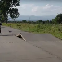 E caniculă în toată Europa, dar numai în România drumul sare în sus. O mașină s-a răsturnat - Foto: captură video