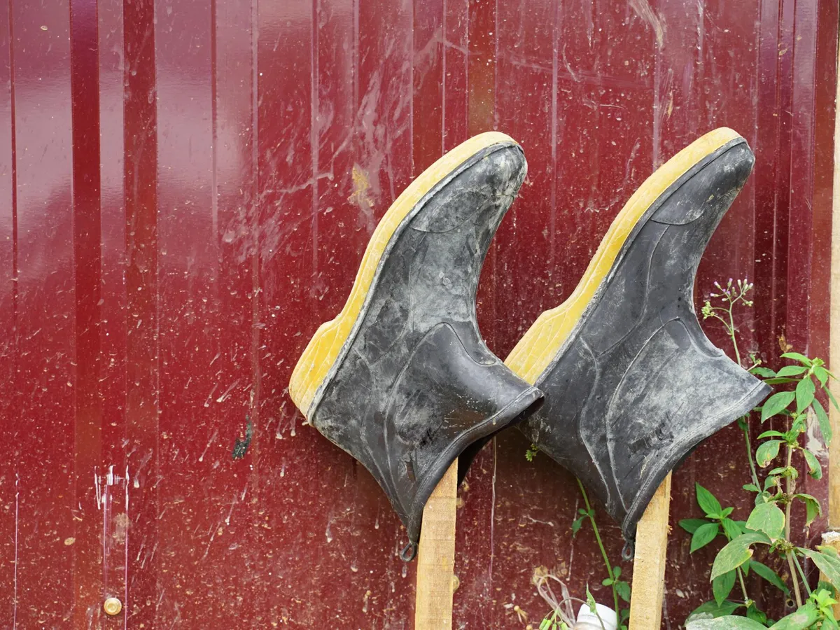 Cizme agățate - Foto: Freepik (Imagine cu rol ilustrativ)