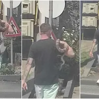 VIDEO Cu pitonul pe umăr, la plimbare prin oraş. Un bărbat din Târgu Jiu a şocat trecătorii mergând nestingherit cu "animalul lui de companie" - Foto: Observatornews.ro