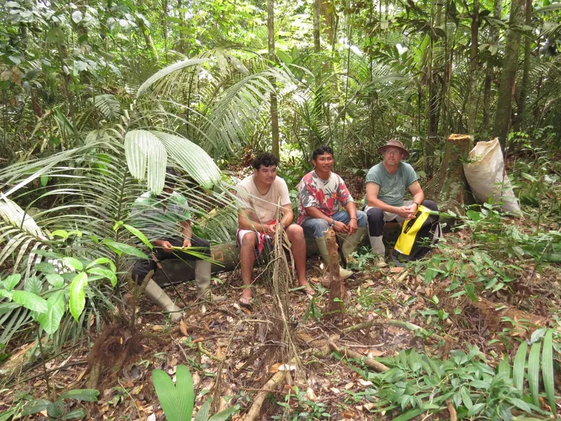 Doi minori au fost salvați din jungla amazoniană după ce s-au pierdut timp de aproape o lună de zile/FOTO: Phys.org