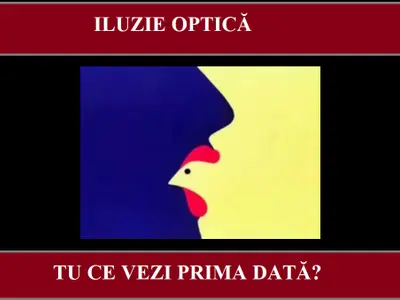 Iluzie optică Foto: Newsweek România