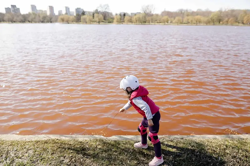 Lacul IOR din Capitală, poluat cu fecale. Sursa: Inquam Photos - George Călin