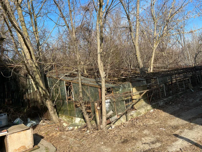Dacă nu pot pune mâna pe tine maibine să te las în ruine? Serele Pomicola Băneasa, ruinse râvnite de mogulii imobiliari. Sursă foto: Newsweek România