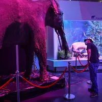 Vizitatori la Muzeul Național de Istorie Naturală „Grigore Antipa” din București. Foto: Profimedia