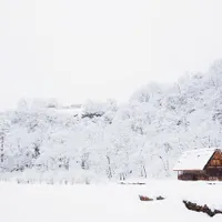 Prima ninsoare pe Valea Prahovei. La Fundata, stratul de zăpadă este de 15 centimetri/FOTO: Unsplash