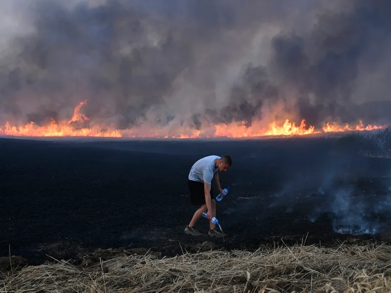 Incendii devastatoare în Bulgaria - Foto: Profimedia Images