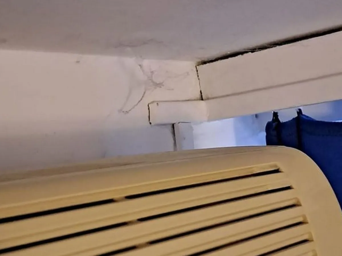 „Condiții” la un hotel de 350 lei pe noapte în Mamaia: Igrasie, pereți scorojiți, baie jalnică - Foto: replicaonline.ro