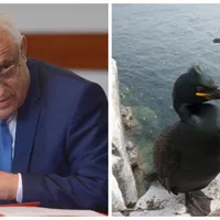 Petre Daea așteaptă legea care va permite împușcarea cormoranilor/ Foto: Agrointel