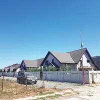 Hectare de teren de zeci de mii de euro și tablouri se mișcă ciudat în declarația de avere a lui Brănescu