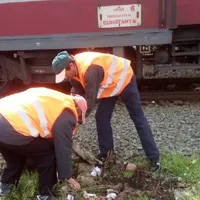 Cine a fost acarul Păun - Foto: CFR Călători (cu rol ilustrativ)