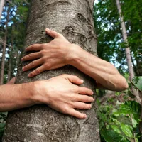 Un român a fost salvat de pompieri după ce a rămas blocat într-un copac. Cum a ajuns acolo? - Foto: Shutterstock