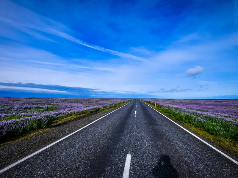 România va inaugura 130 de kilometri de autostradă. Traversează țara de la Sud la Nord Foto: Peexels (fotografie cu caracter ilustrativ)