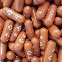 Sursa: Merck