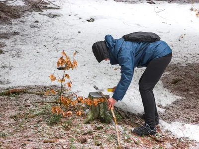 Cum să menții compostul activ toată iarna. Vei avea un sol mai fertil și plin de nutrienți la primăvară - Foto: Freepik (Imagine cu rol ilustrativ)