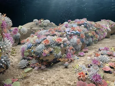 Maşini de ciment instalate pe fundul mării de The Reef Line Concrete - Foto: Profimedia Images